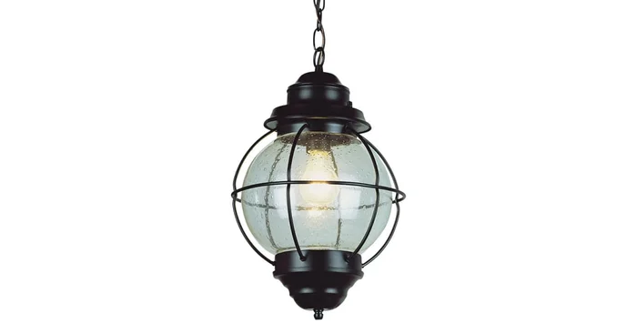 Trans Globe Lighting Modern Single Light Down Lighting Small Outdoor Pendant from the Outdoor Collection